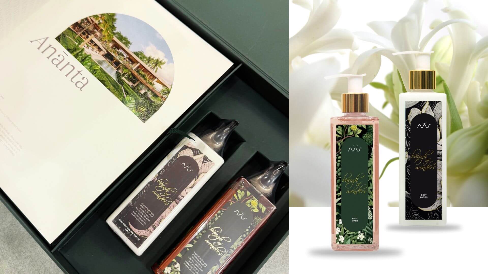 Read more about the article Baugh of Wonders: A Fragrance Inspired by Alibaug